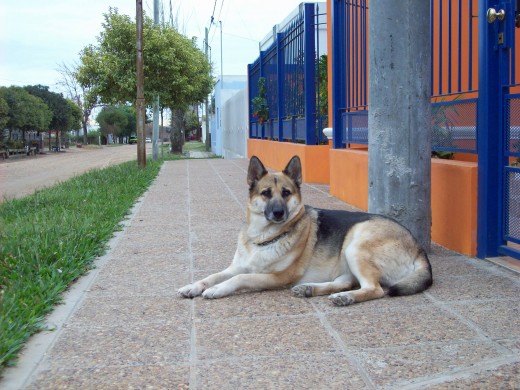 Haciendo Facha...